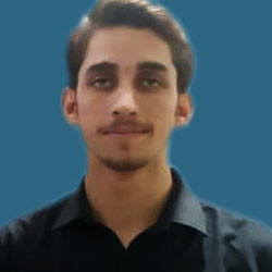 Employee Departure Mr. Fazli Elahi